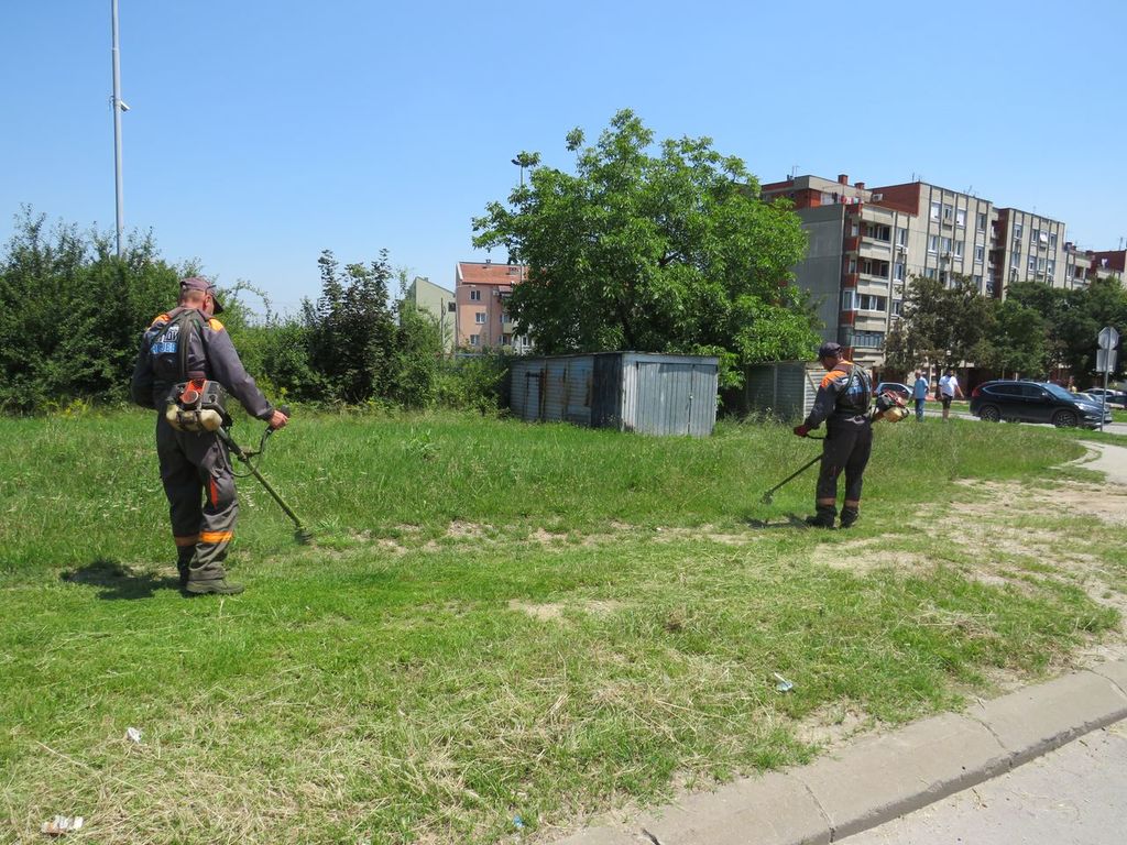 25.06.2020 - ambrozija i kosenje - 06.JPG
